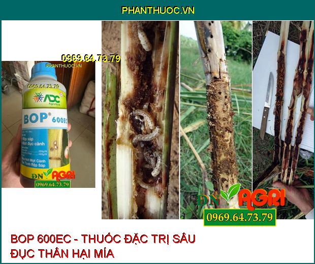 BOP 600EC - Thuốc Trừ Sâu Đặc Trị Rệp Sáp, Sâu Đục Thân, Mọt Đục Cành