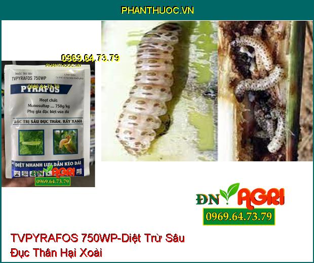 THUỐC TRỪ SÂU TVPYRAFOS 750WP- Tiêu Diệt Sâu Đục Thân, Sâu Sinh Học, Rầy Xanh