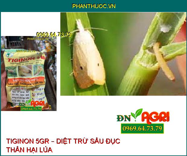 THUỐC TRỪ SÂU TIGINON 5GR – DIỆT TRỪ SÂU ĐỤC THÂN HẠI LÚA, MÍA