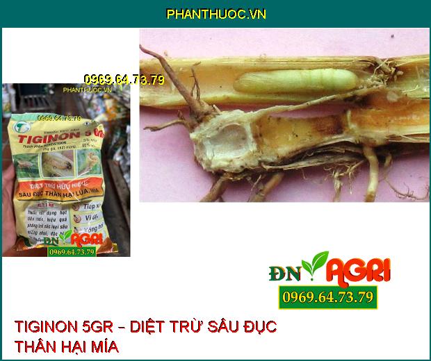 THUỐC TRỪ SÂU TIGINON 5GR – DIỆT TRỪ SÂU ĐỤC THÂN HẠI LÚA, MÍA