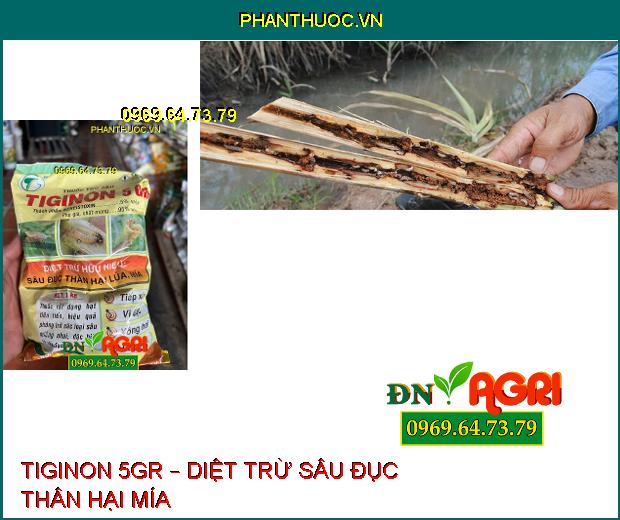 THUỐC TRỪ SÂU TIGINON 5GR – DIỆT TRỪ SÂU ĐỤC THÂN HẠI LÚA, MÍA