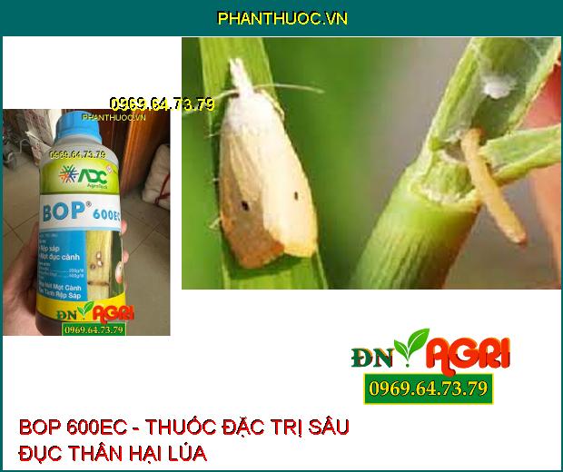 BOP 600EC - Thuốc Trừ Sâu Đặc Trị Rệp Sáp, Sâu Đục Thân, Mọt Đục Cành