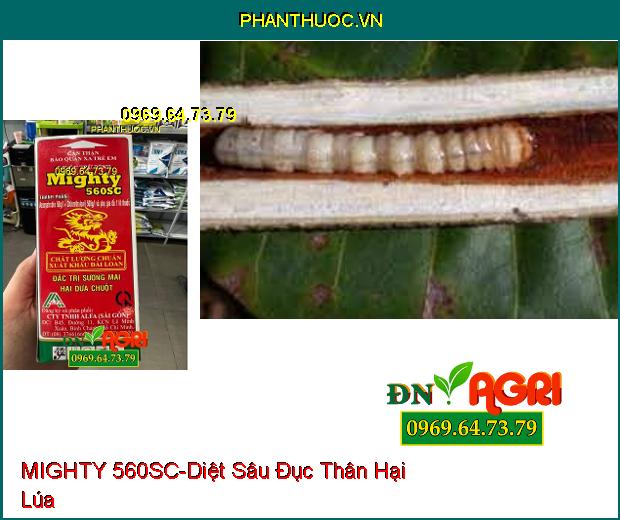 THUỐC TRỪ BỆNH MIGHTY 560SC- Diệt Nấm Toàn Thân, Các Loại Sâu Bệnh