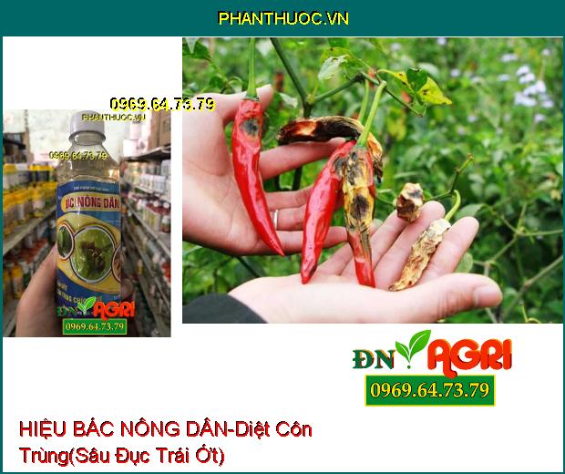 CHẾ PHẨM DIỆT RUỒI VÀNG HIỆU BÁC NÔNG DÂN-Diệt Ruồi Vàng, Các Côn Trùng Khác