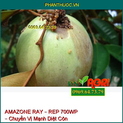 AMAZONE RAY – REP 700WP – Chuyển Vị Mạnh Diệt Côn Trùng