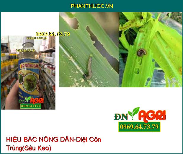 CHẾ PHẨM DIỆT RUỒI VÀNG HIỆU BÁC NÔNG DÂN-Diệt Ruồi Vàng, Các Côn Trùng Khác