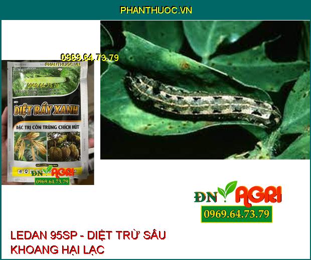 LEDAN 95SP - Diệt Rầy Xanh, Rầy Nâu, Sâu Đục Thân, Côn Trùng Chích Hút