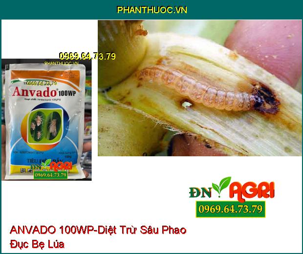 THUỐC TRỪ SÂU RẦY ANVADO 100WP – Tiêu Diệt Rầy Nâu, Trừ Sâu