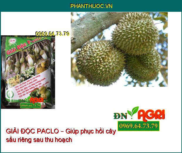 GIẢI ĐỘC PACLO – PHÂN VI LƯỢNG KE BO MG –Xanh Lá, Mượt Lá, Chống Nấm Bệnh