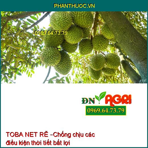 TOBA NET RỄ – KÍCH THÍCH RA RỄ CỰC MẠNH CHO CÂY TRỒNG, HẠN CHẾ VÀNG LÁ