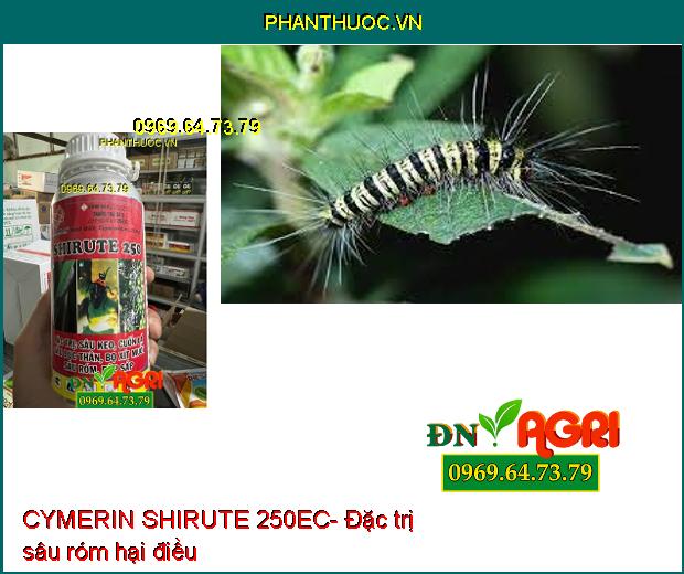 CYMERIN SHIRUTE 250EC- Thuốc Trừ Sâu Cuốn Lá, Sâu Đục Thân, Bọ Xít Hại Lúa