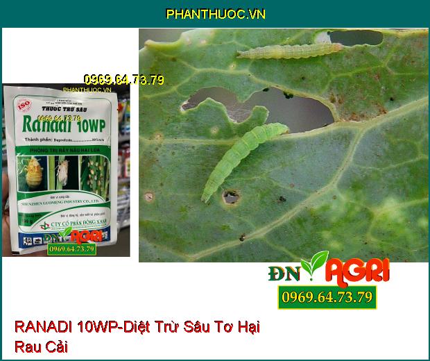 THUỐC TRỪ SÂU RANADI 10WP – Thuốc Trừ Sâu, Đặc Trị Rầy Nâu Hại Lúa