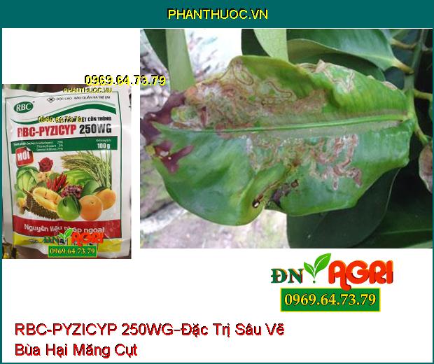 CHẾ PHẨM DIỆT CÔN TRÙNG RBC-PYZICYP 250WG –Đặc trị Các Loại Sâu, Các Loài Hút Chích