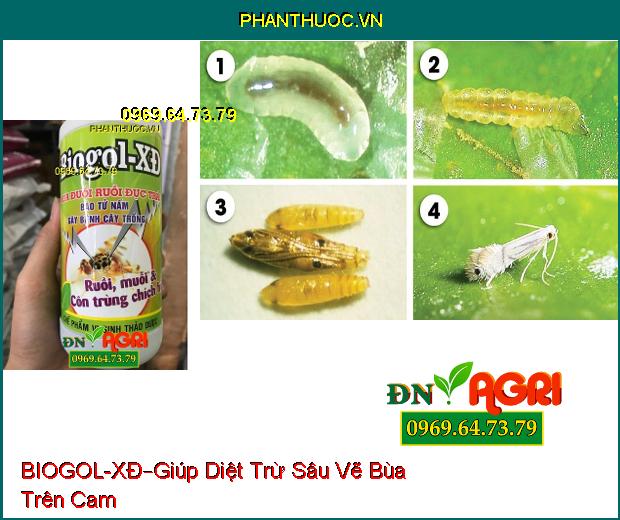 CHẾ PHẨM VI SINH THẢO DƯỢC BIOGOL – XĐ –Xua Đổi Ruồi Đục Trái , Côn Trùng