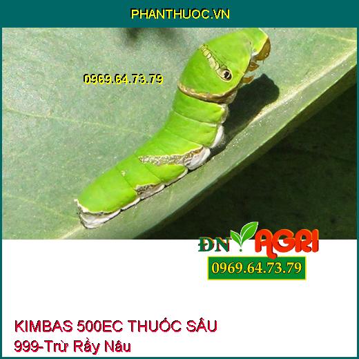 KIMBAS 500EC THUỐC SÂU 999- Trừ Rầy Nâu, Rệp Sáp, Rầy Xanh, Nhện Đỏ, Dòi Đục