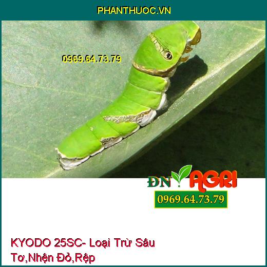 KYODO 25SC- Loại Trừ Sâu Tơ, Nhện Đỏ, Rệp, Sâu Xanh, Bọ Phấn