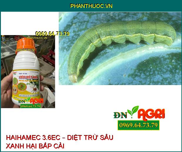 HAIHAMEC 3.6EC – SIÊU DIỆT NHỆN, UNG TRỨNG, LƯU DẪN KÉO DÀI