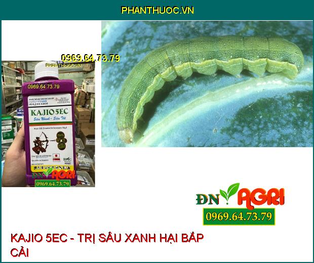 KAJIO 5EC - TRỊ SÂU SINH HỌC, NHỆN