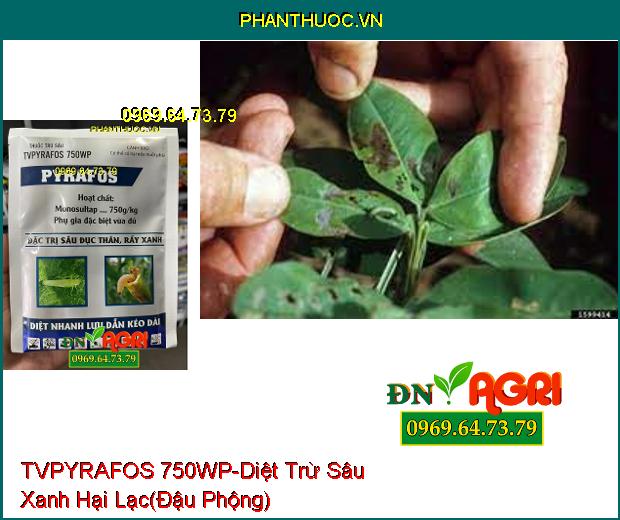 THUỐC TRỪ SÂU TVPYRAFOS 750WP- Tiêu Diệt Sâu Đục Thân, Sâu Sinh Học, Rầy Xanh