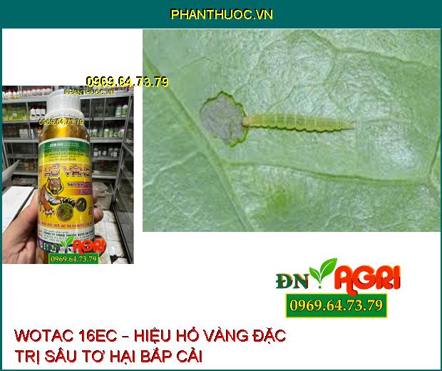 WOTAC 16EC – HIỆU HỔ VÀNG ĐẶC TRỊ RẦY, RỆP VÀ NHIỀU LOẠI NHỆN KHÁC