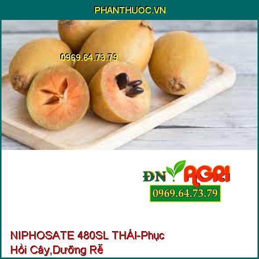 NIPHOSATE 480SL THÁI- Phục Hồi Cây, Hạ Phèn, Dưỡng Rễ, Xuống Trái Nhanh