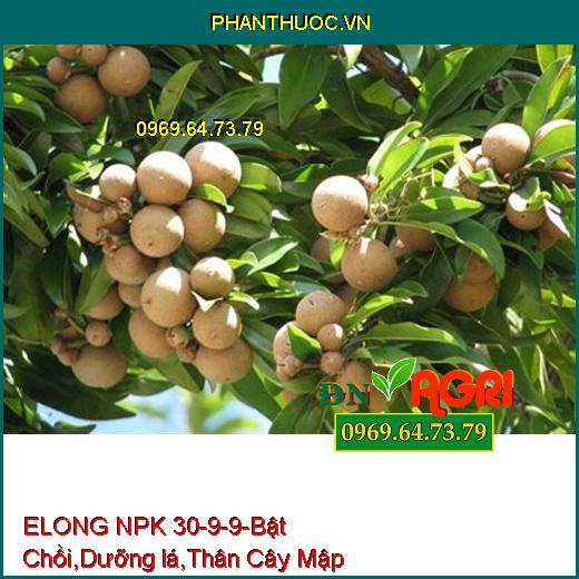 ELONG NPK 30-9-9-Bật Chồi Mạnh, Dưỡng lá, Phát Đọt Nhanh, Thân Cây Mập