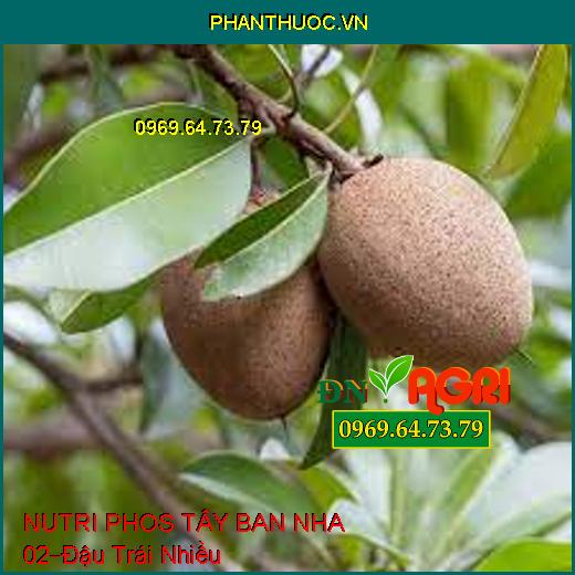 NUTRI PHOS TÂY BAN NHA 02 –Hạn Chế Đen Bông,Đậu Trái Nhiều