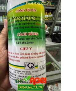 SIÊU AMINO- Kích Rễ, Cây Xanh Tốt, To, Mập, Nhiều Hoa Trái