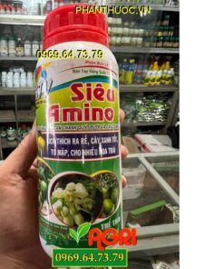 SIÊU AMINO- Kích Rễ, Cây Xanh Tốt, To, Mập, Nhiều Hoa Trái