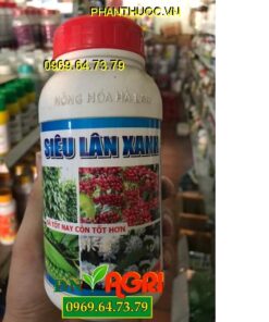 SIÊU LÂN XANH – Kích Bộ Rễ Ra Nhiều- Trái Lớn Nhanh Nhân Chắc