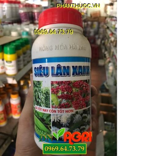 SIÊU LÂN XANH – Kích Bộ Rễ Ra Nhiều- Trái Lớn Nhanh Nhân Chắc