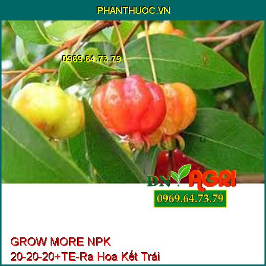 GROW MORE NPK 20-20-20+TE-Giúp Phân Hóa Mầm Hoa, Ra Hoa Kết Trái