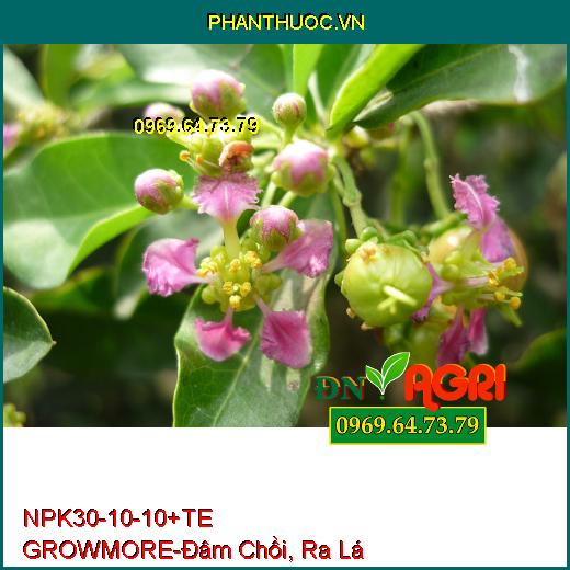 PHÂN BÓN LÁ NPK 30-10-10 +TE GROWMORE- Đẻ Nhánh, Đâm Chồi, Ra Lá Tốt