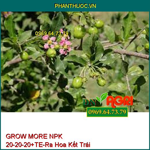 GROW MORE NPK 20-20-20+TE-Giúp Phân Hóa Mầm Hoa, Ra Hoa Kết Trái