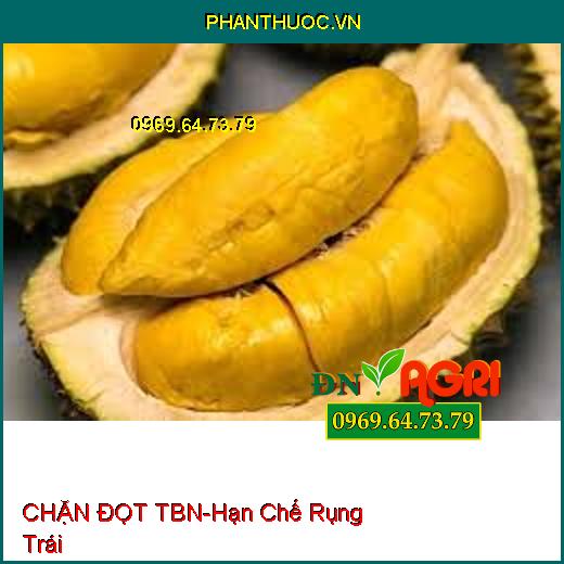 CHẶN ĐỌT TBN – Hạn Chế Rụng Trái, Kiềm Hãm Sự Phát Triển Chồi Ngọn