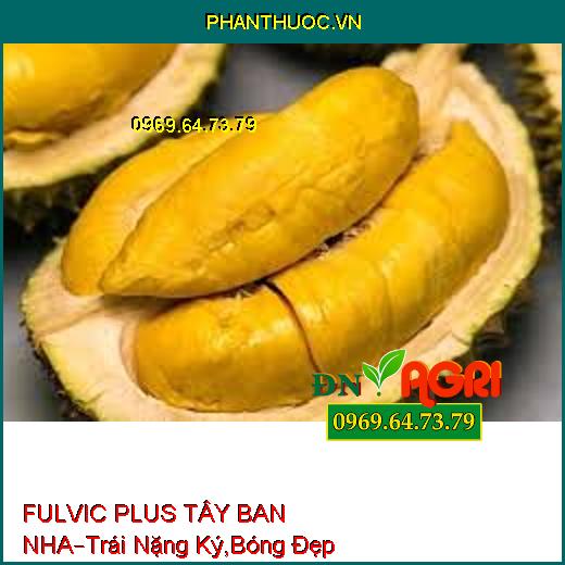 FULVIC PLUS TÂY BAN NHA –Hạn Chế Rong Rêu Trên Lá, Trái Nặng Ký, Bóng Đẹp