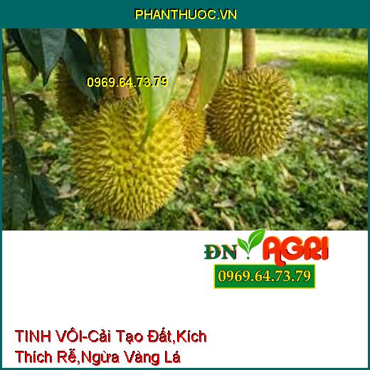 TINH VÔI-Nâng Cao PH Đất, Cải Tạo Đất, Kích Thích Rễ, Ngăn Ngừa Vàng Lá