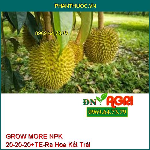 GROW MORE NPK 20-20-20+TE-Giúp Phân Hóa Mầm Hoa, Ra Hoa Kết Trái