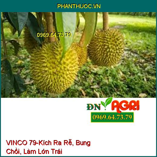 PHÂN BÓN LÁ TRUNG LƯỢNG VINCO 79 – Kích Ra Rễ, Bung Chồi, Làm Lớn Trái, Phục Hồi Cây