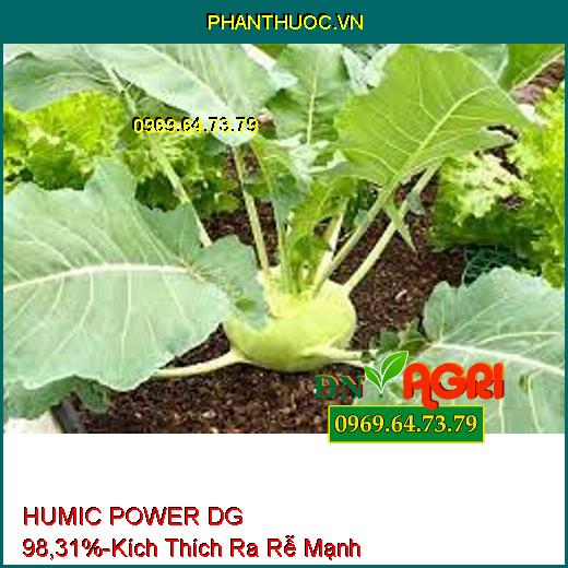 HUMIC POWER DG 98,31%- Phân Bón Hữu Cơ Kích Thích Ra Rễ Cực Mạnh