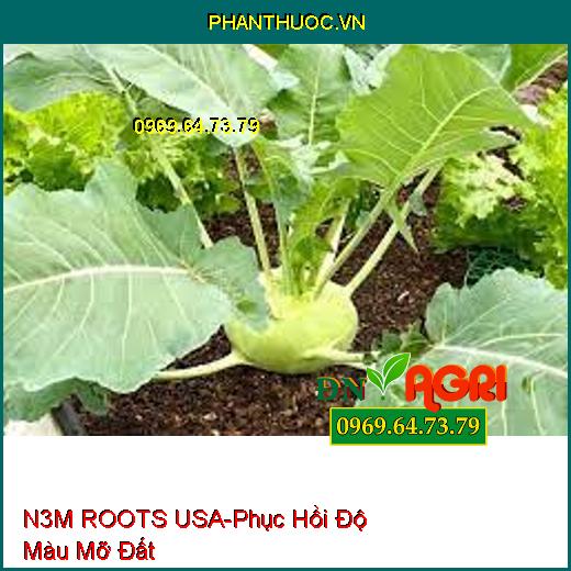 SIÊU RỄ N3M ROOTS USA –Phục Hồi Độ Màu Mỡ Đất, Tăng Sản Lượng