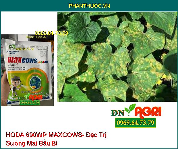 THUỐC TRỪ BỆNH HODA 690WP MAXCOWS- ĐẶC TRỊ THÁN THƯ, PHẤN TRẮNG GÂY HẠI TRÊN CÂY XOÀI