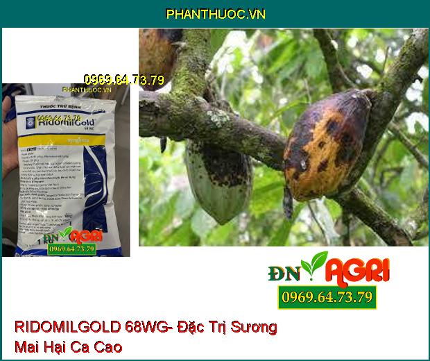 THUỐC TRỪ BỆNH RIDOMILGOLD 68WG- Đặc Trị Sương Mai, Thán Thư, Loét Sọc, Chết Nhanh, Đốm Lá