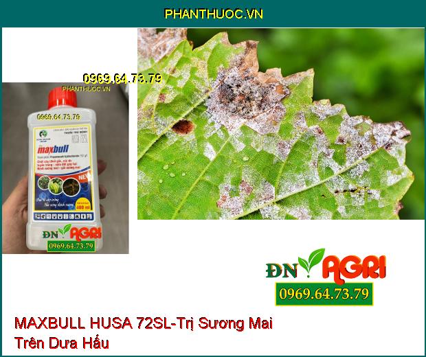 MAXBULL HUSA 72SL- Diệt Nấm Thế Hệ Mới, Hấp Nhanh và Lưu Dẫn Mạnh