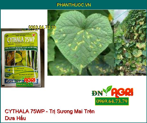 THUỐC TRỪ BỆNH CYTHALA 75WP - Trị Thán Thư, Rỉ Sắt, Giả Sương Mai, Phấn Trắng