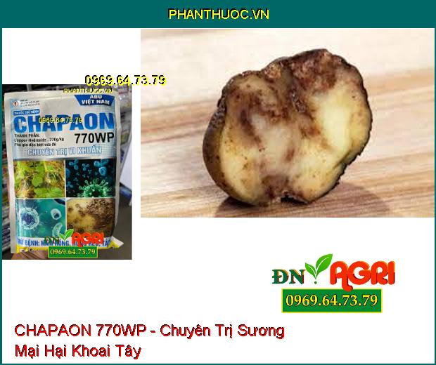 THUỐC TRỪ BỆNH CHAPAON 770WP - Chuyên Trị Vi Khuẩn Trên Khoai Tây