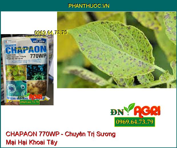 THUỐC TRỪ BỆNH CHAPAON 770WP - Chuyên Trị Vi Khuẩn Trên Khoai Tây