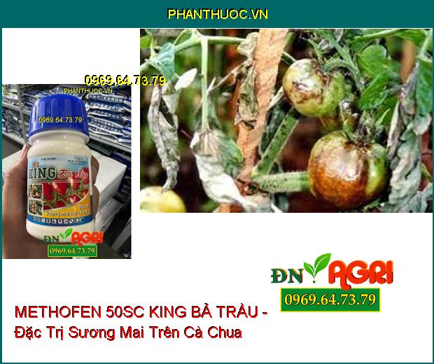 METHOFEN 50SC KING BẢ TRẦU - Đặc Trị Sương Mai , Bệnh Bạc Lá Trên Cà Chua