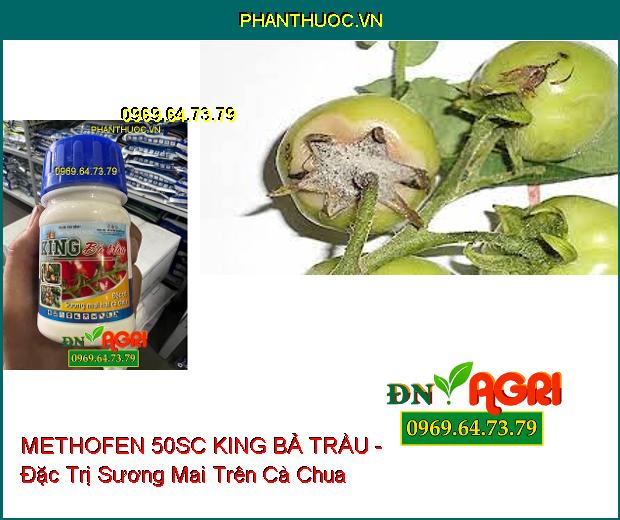 METHOFEN 50SC KING BẢ TRẦU - Đặc Trị Sương Mai , Bệnh Bạc Lá Trên Cà Chua