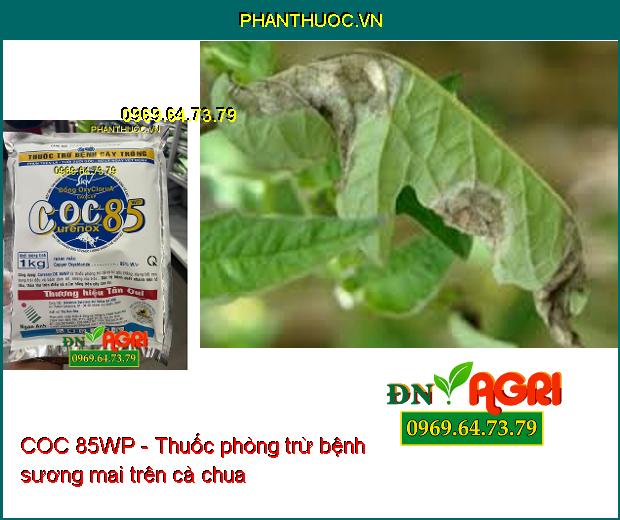 COC 85WP - Thuốc phòng trừ nấm bệnh